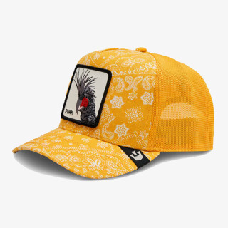 Goorin Bros Spray Paint Arch 