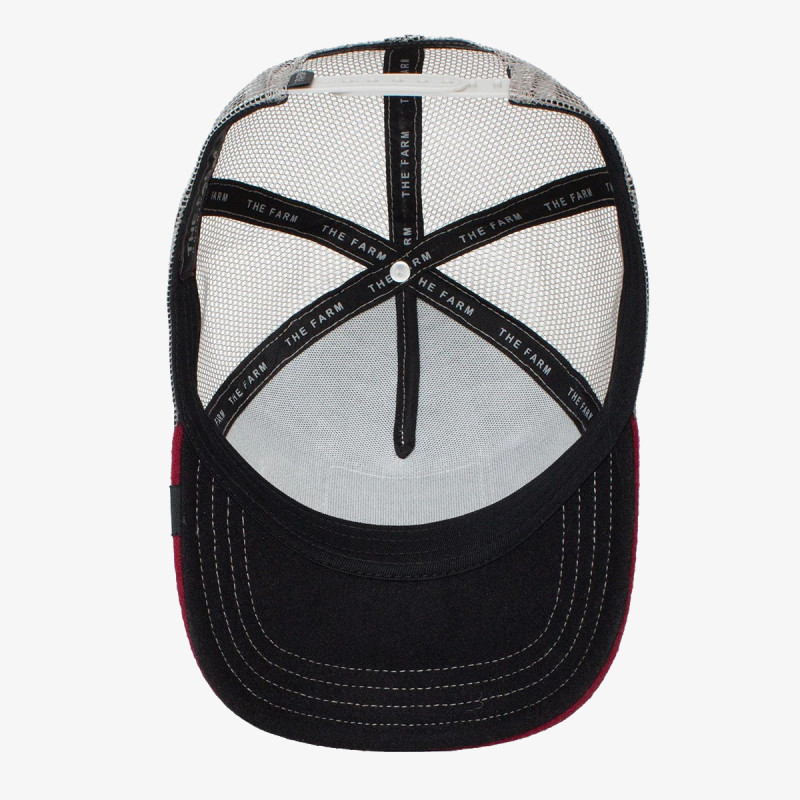 Goorin Bros Circwool of Life 