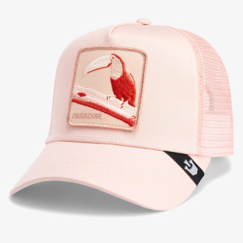 Goorin Bros Toucan Mirage 