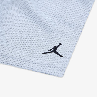 JORDAN Jordan Triple Team 