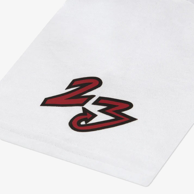 JORDAN Dynasty Patch 