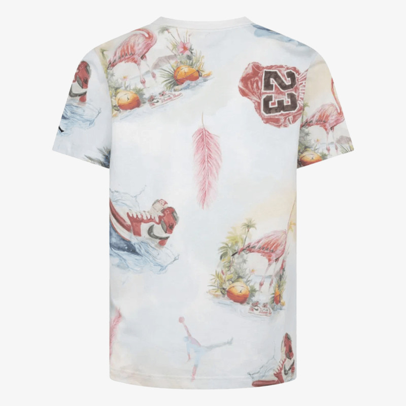 JORDAN Flamingo 