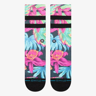 Stance GLOWW 