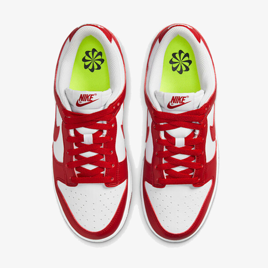 Nike W NIKE DUNK LOW NEXT NATURE 