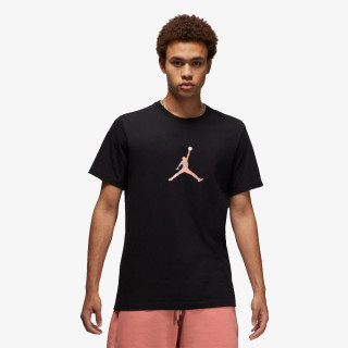 Nike Jordan Sport DNA 