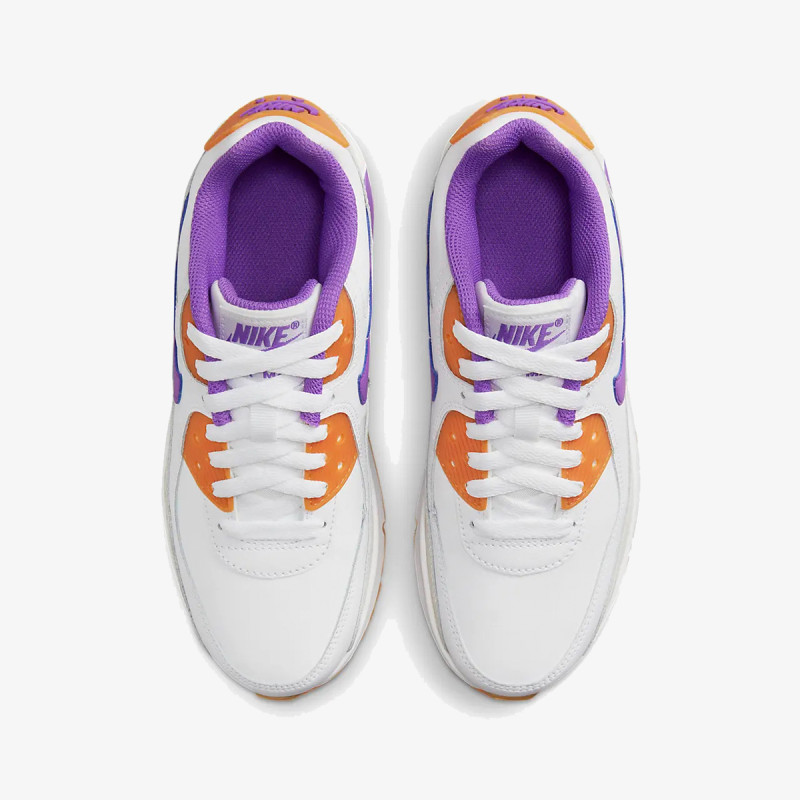 Nike Nike Air Max 90 LTR 