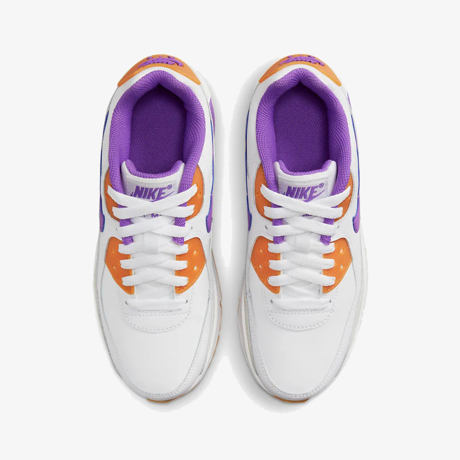 Nike Nike Air Max 90 LTR 