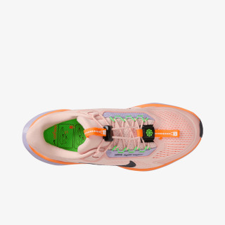 Nike Pegasus Easyon 