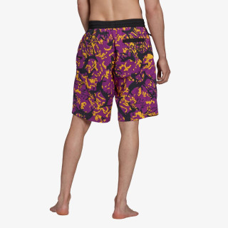 adidas AOP SHORTS 