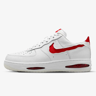 Nike AIR FORCE 1 LOW EVO 