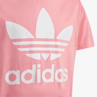 adidas TREFOIL TEE 