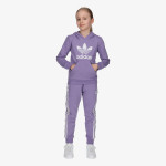 adidas Souprava Adicolor Hoodie 