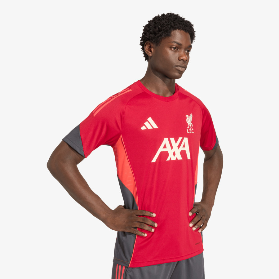 adidas LFC TR JSY 