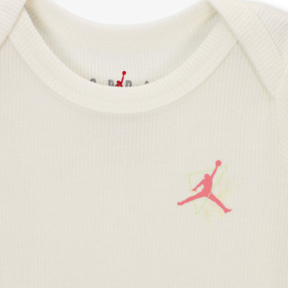 JORDAN Jordan Jumpman Take Flight 