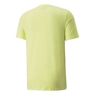 Puma NATURE CAMP GRAPHIC TEE 