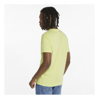 Puma NATURE CAMP GRAPHIC TEE 