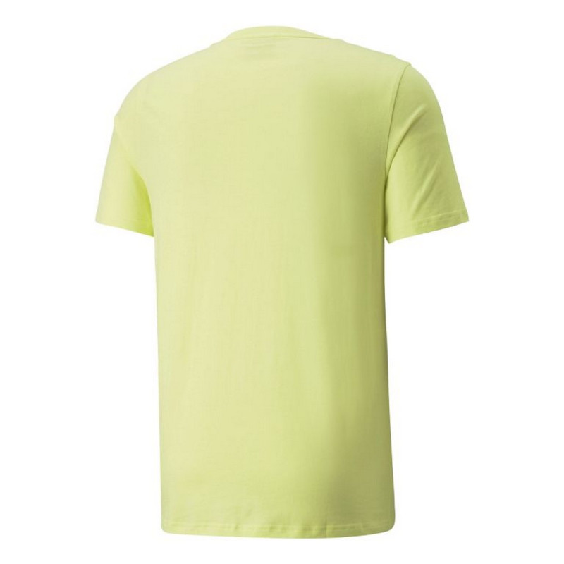 Puma NATURE CAMP GRAPHIC TEE 